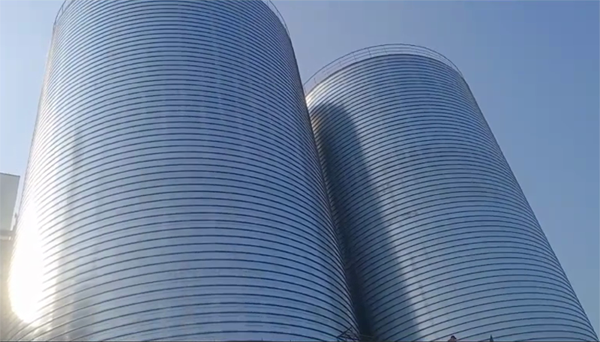 凉州2座混凝土高架卷板仓